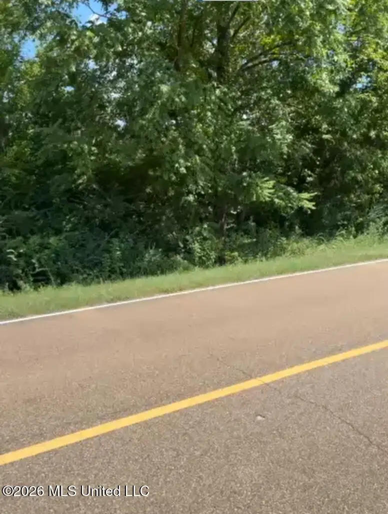 493 Gus Green Road, Flora, MS 39071 - #2