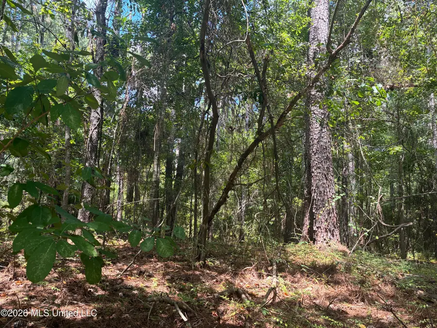 0 Lexington Lane, McComb, MS 39648 - #2
