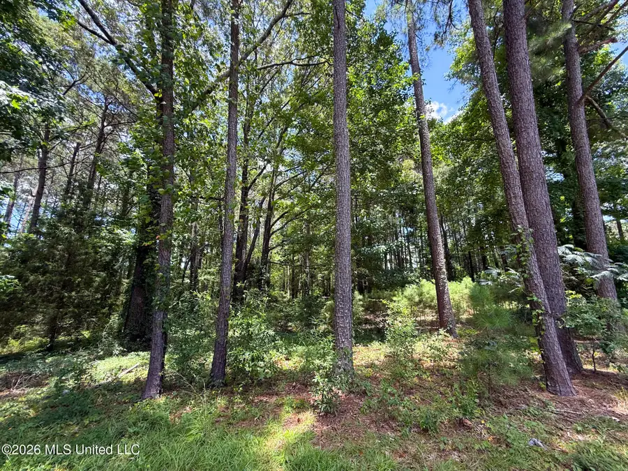 Berthadale Road, McComb, MS 39648 - #3