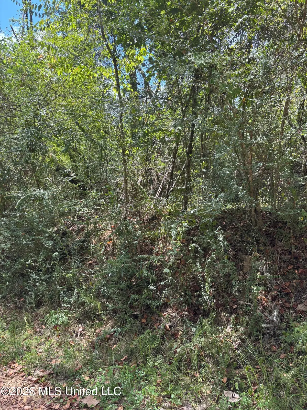 Ms-556, Meadville, MS 39653 - #1