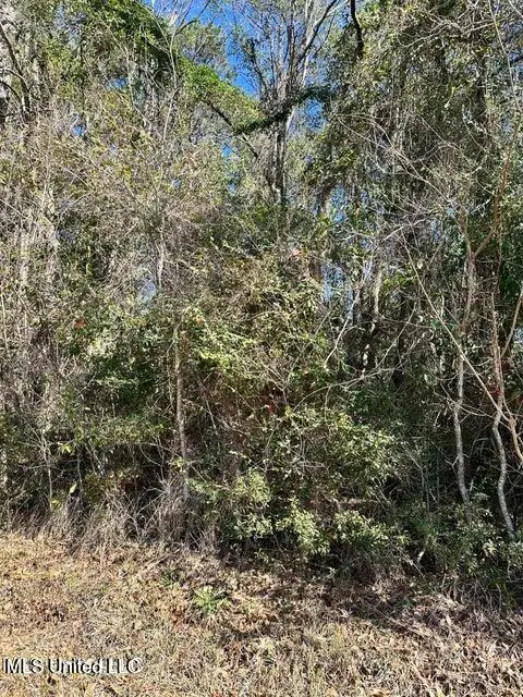00 Mary Edith Street, Ocean Springs, MS 39564 - #3