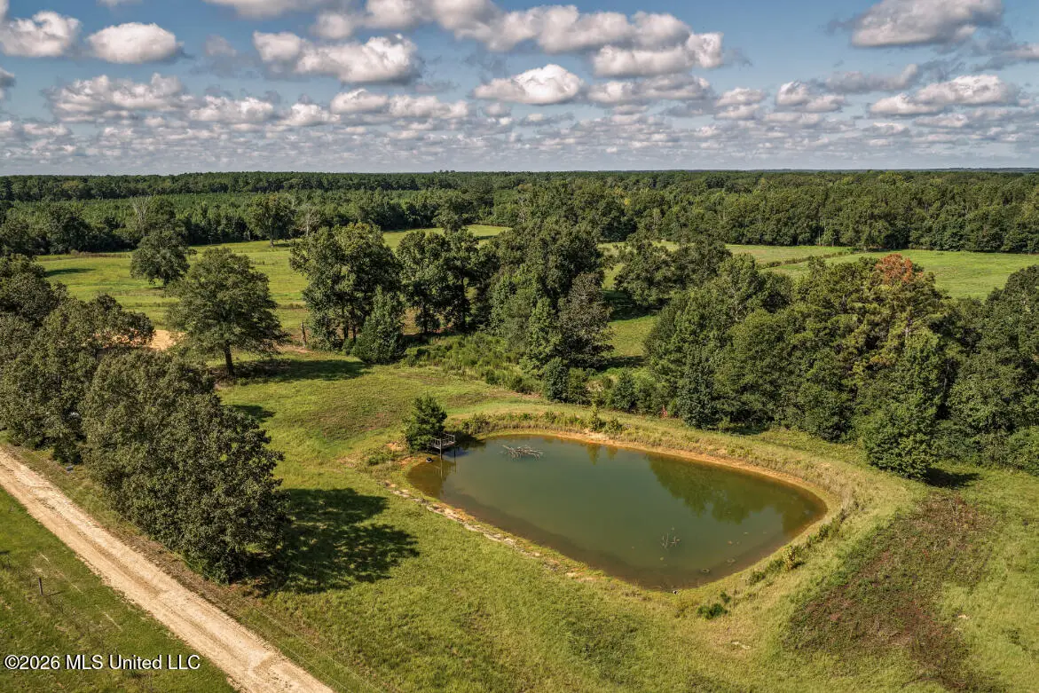 2498 Hilton Lane, Smithdale, MS 39664 - #1