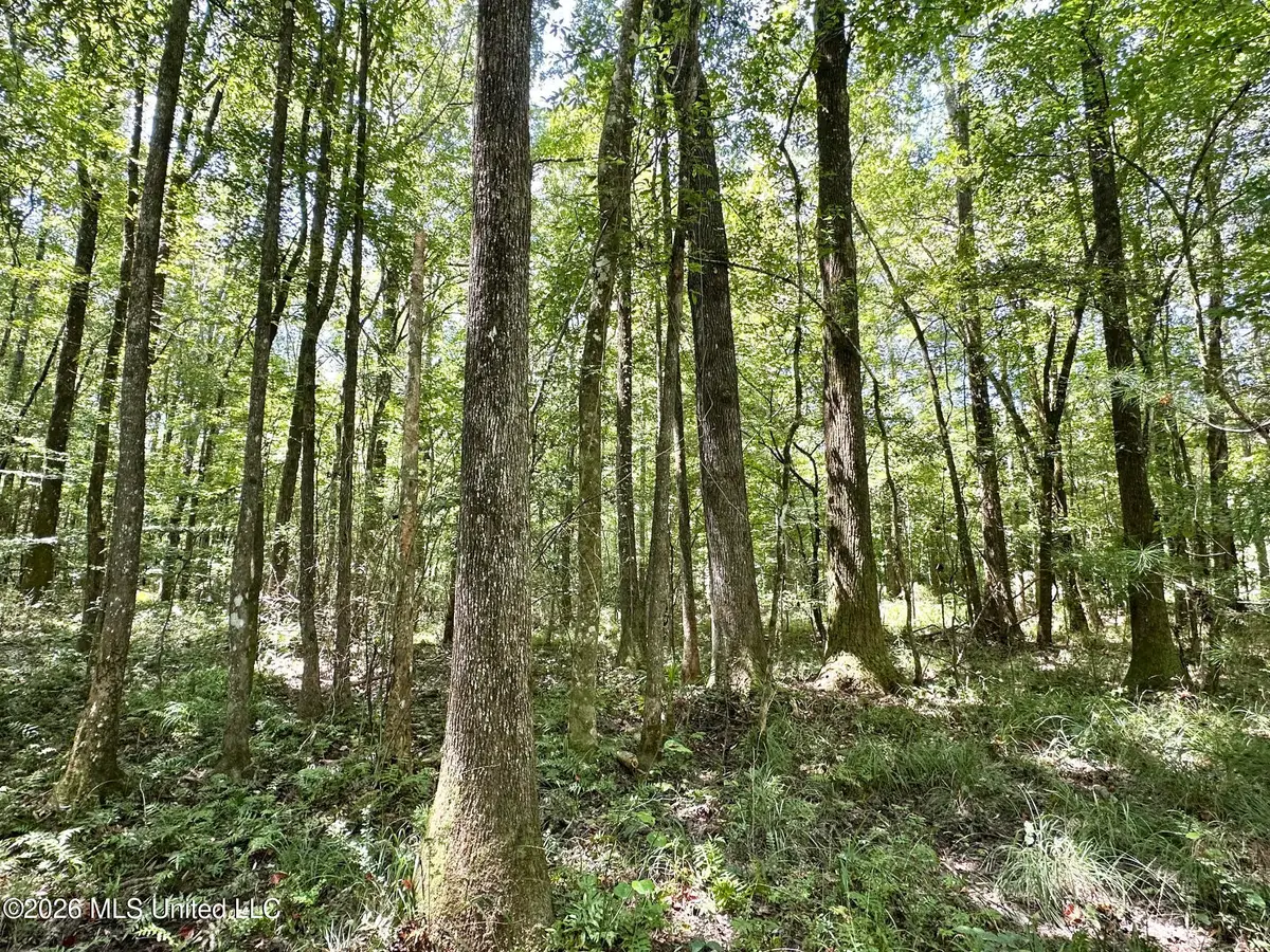 1 County Road 24, Enterprise, MS 39330 - #1