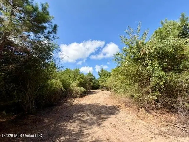 Robert Bateman Road, Franklinton, LA 70438 - #1