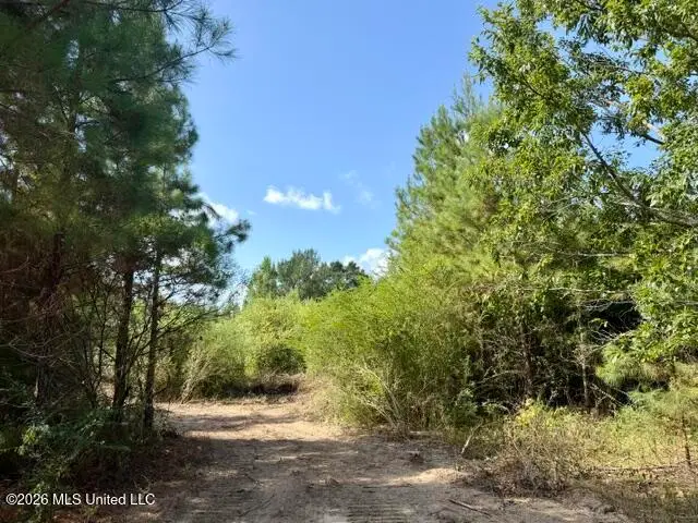 Robert Bateman Road, Franklinton, LA 70438 - #1