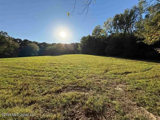 9171 Collierville Arlington Road, Arlington, TN 38002 - #3