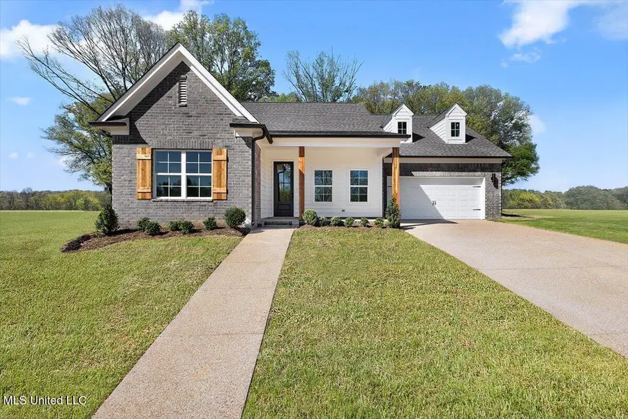 292 Wells Drive, Hernando, MS 38632 - #2