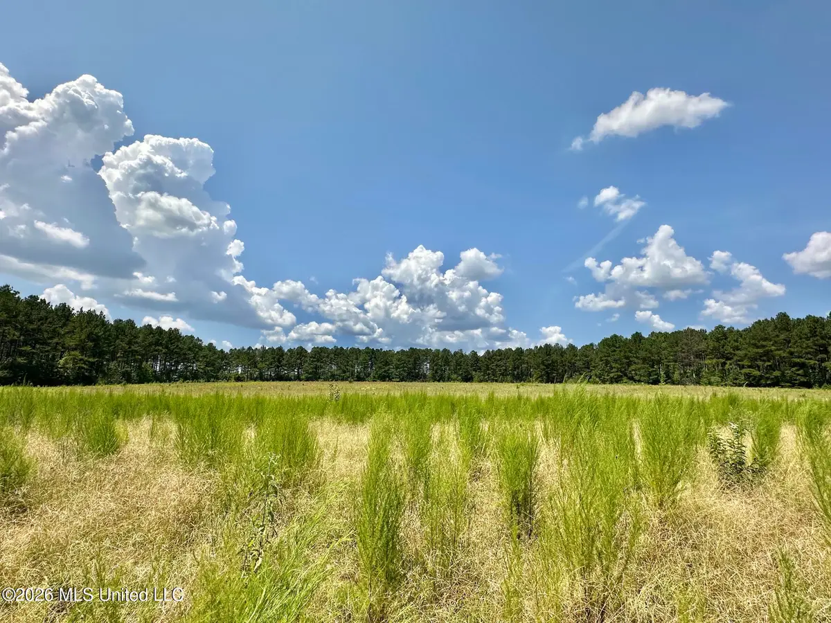 4 County Road 24, Enterprise, MS 39330 - #1