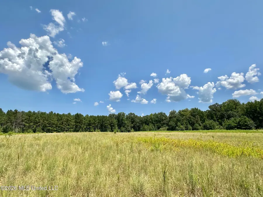 4 County Road 24, Enterprise, MS 39330 - #3