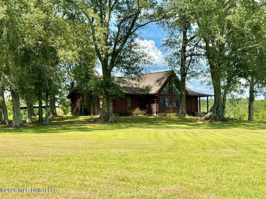 356 SW Dry Creek Trail, Bogue Chitto, MS 39629 - #3