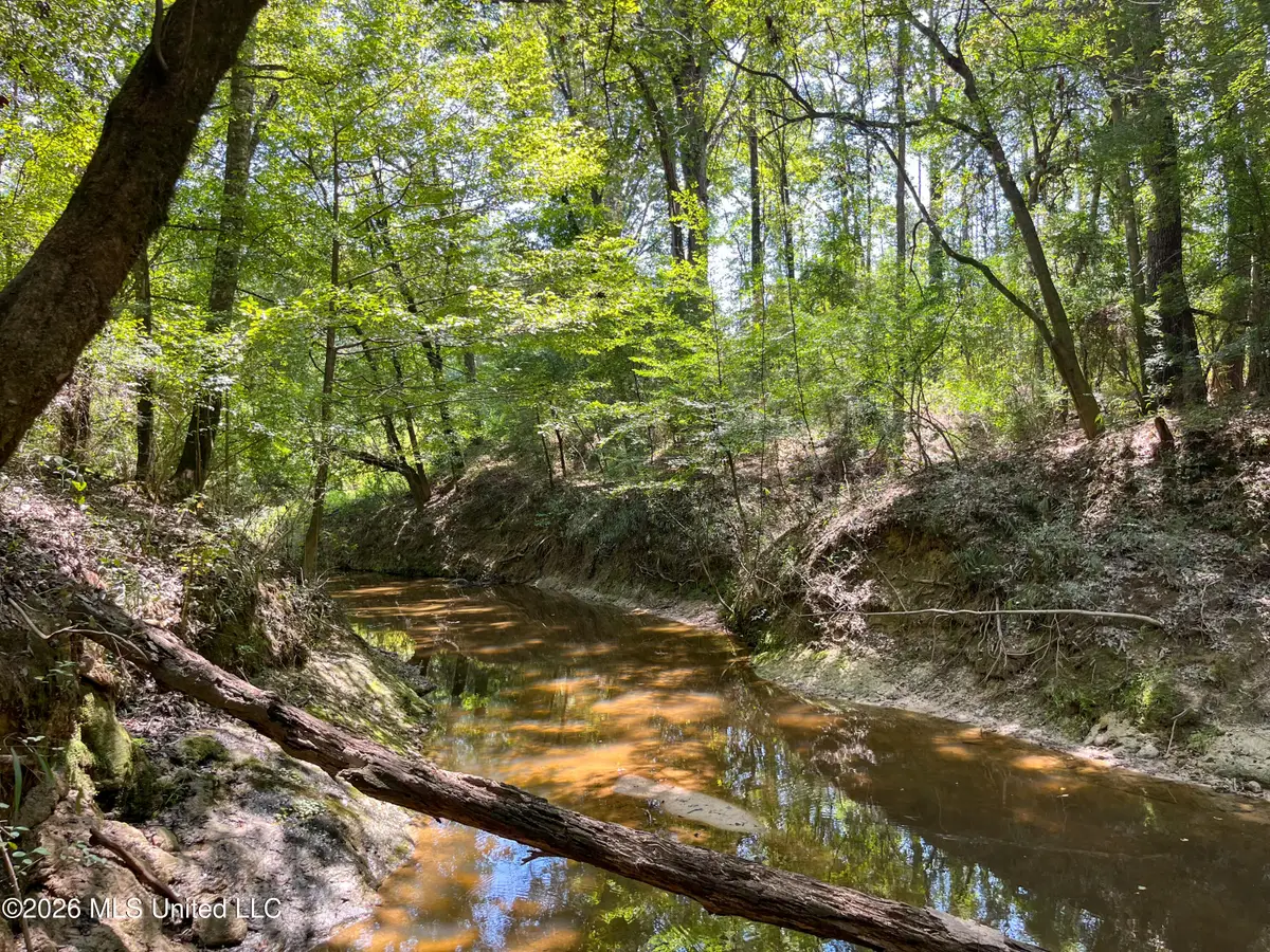 Old Highway 27 Road 2, Hazlehurst, MS 39083 - #1