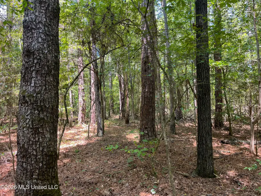 Old Highway 27 Road 2, Hazlehurst, MS 39083 - #3