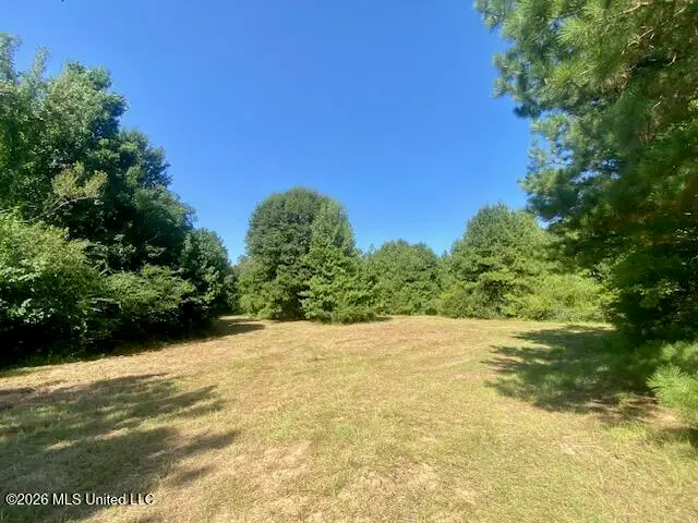 Chisholm Drive, Summit, MS 39666 - #1