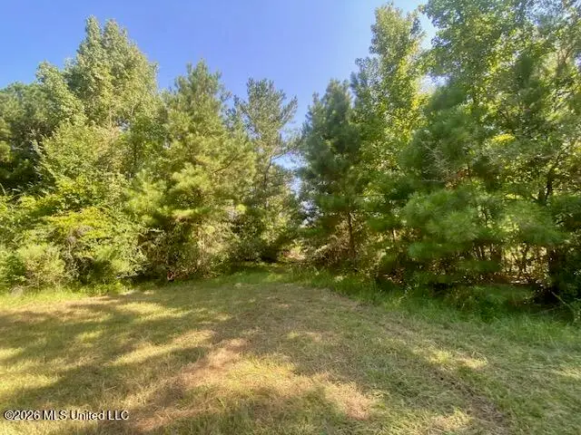 Chisholm Drive, Summit, MS 39666 - #3
