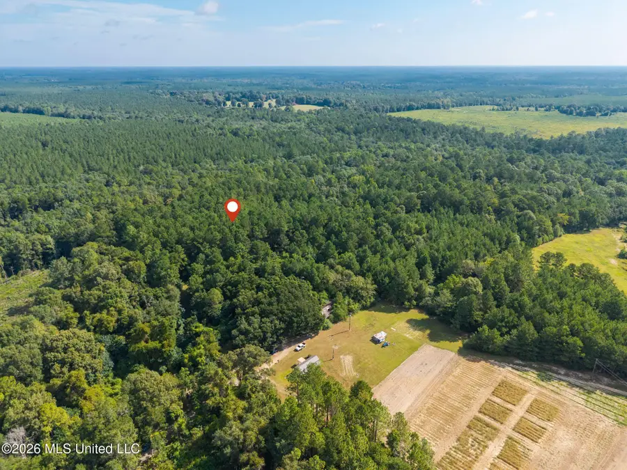 0 Big Hill, Lumberton, MS 39455 - #2