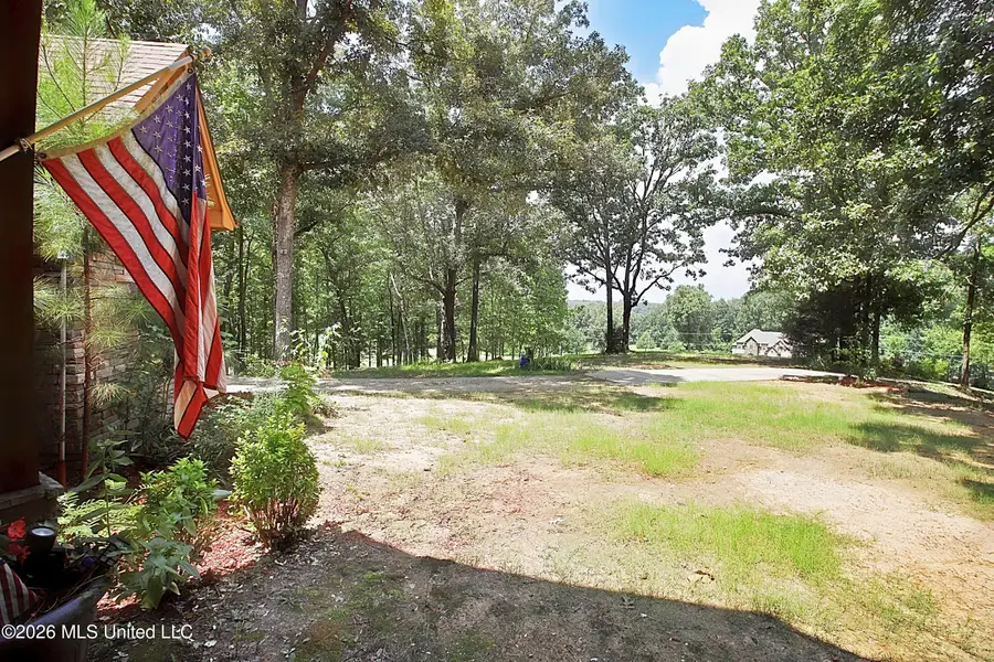 4384 Susan Lane, Hernando, MS 38632 - #3