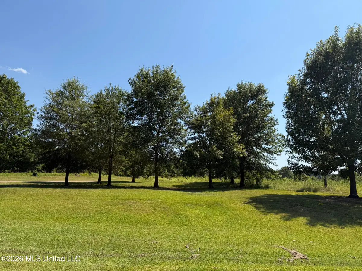 Windermere Boulevard, Madison, MS 39110 - #1