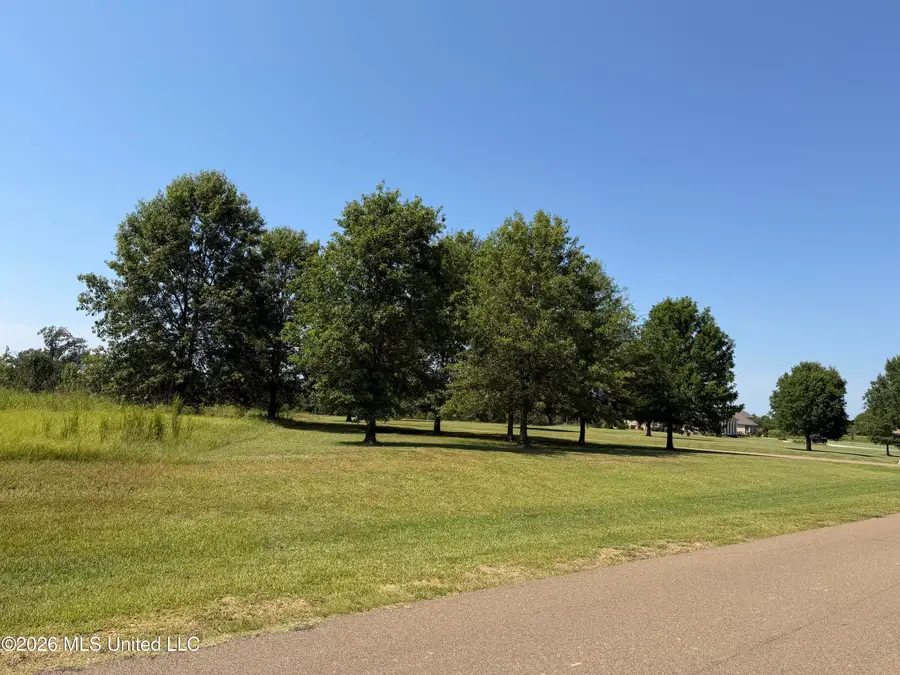 Windermere Boulevard, Madison, MS 39110 - #3