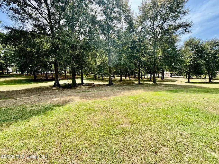 1014 Diane Circle, Summit, MS 39666 - #2