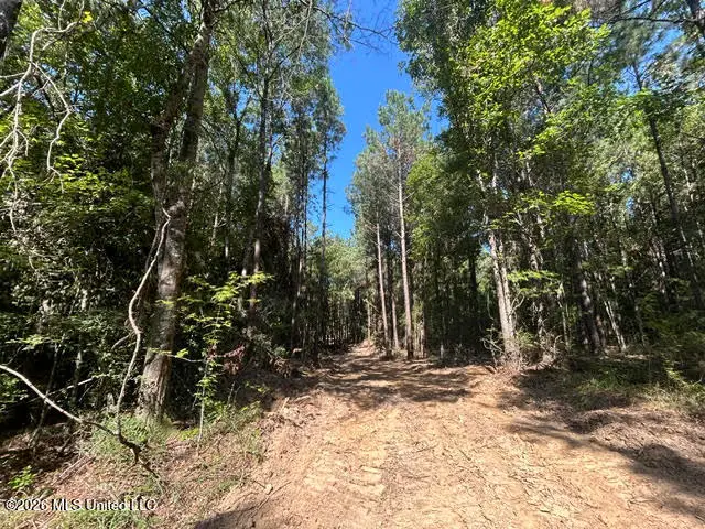 Chisholm Drive, Summit, MS 39666 - #1