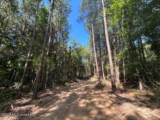 Chisholm Drive, Summit, MS 39666 - #2