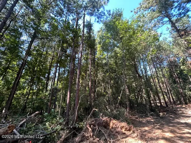 Chisholm Drive, Summit, MS 39666 - #3