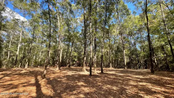 Old Hwy 49, Saucier, MS 39574