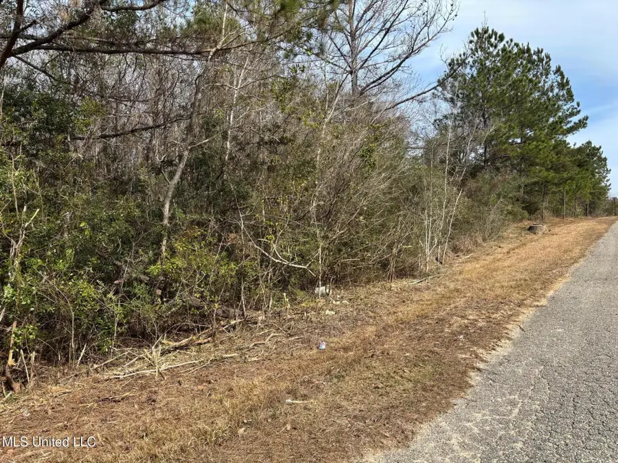 00 Crestwick St. Street, Saucier, MS 39574 - #2