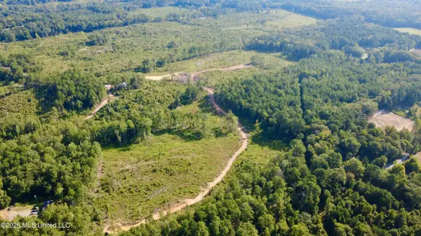 Terry Road, Kosciusko, MS 39090