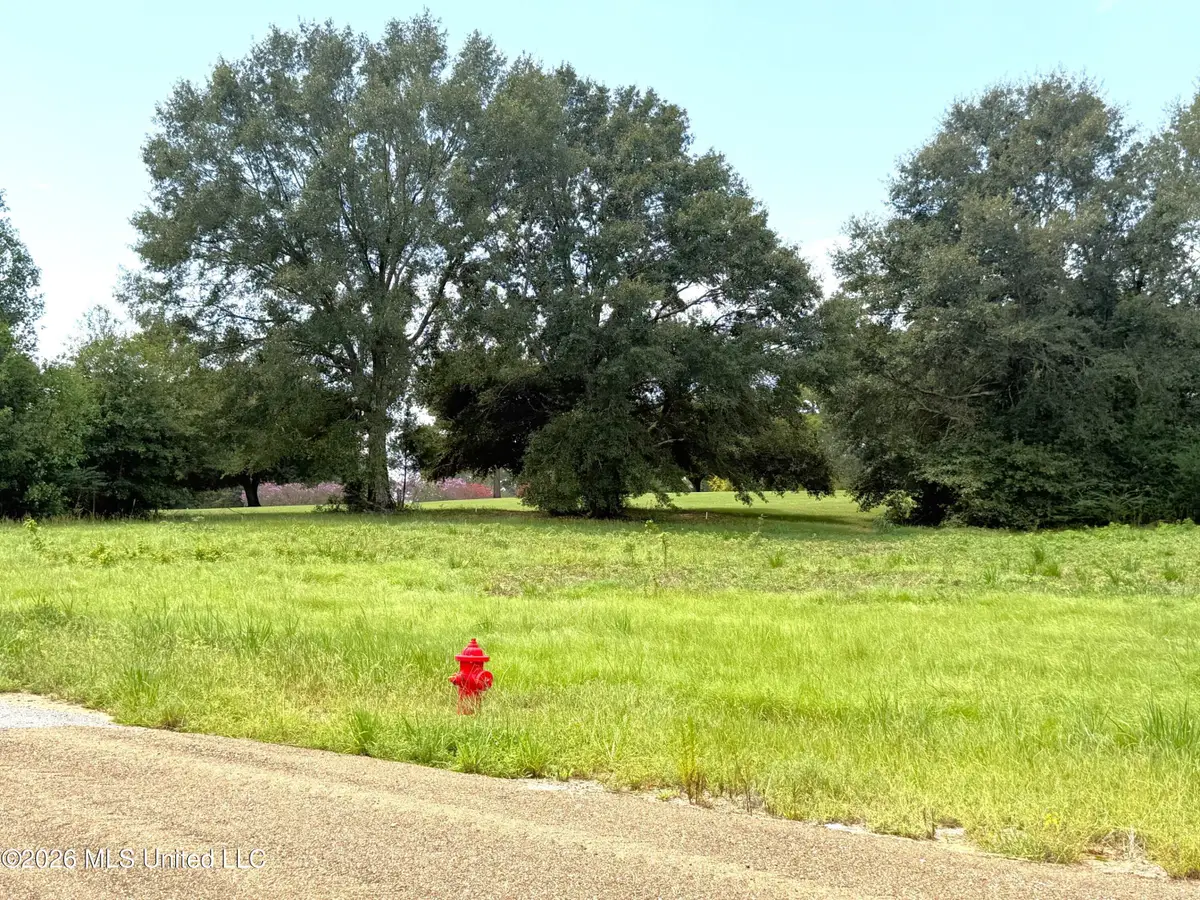 Fairway Drive, Fernwood, MS 39635 - #1