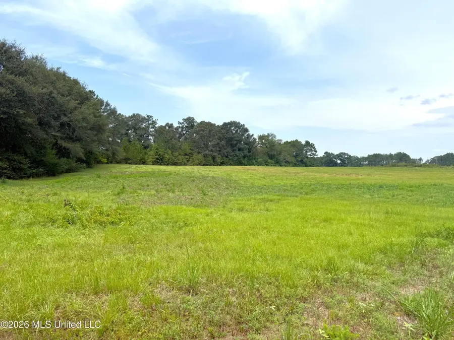 Fairway Drive, Fernwood, MS 39635 - #2