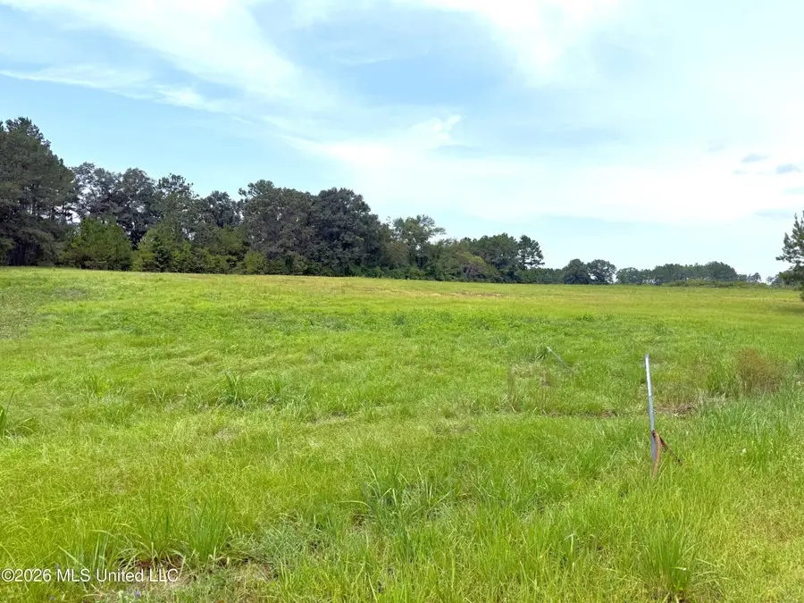 Fairway Drive, Fernwood, MS 39635 - #3