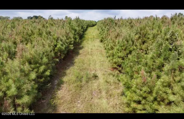 Ten Mile Creek Road, Tylertown, MS 39667 - #2
