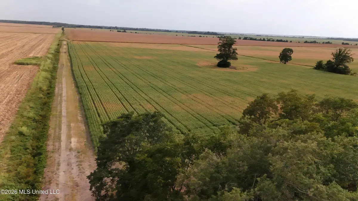 3342 Campbell Road, Tutwiler, MS 38963 - #1