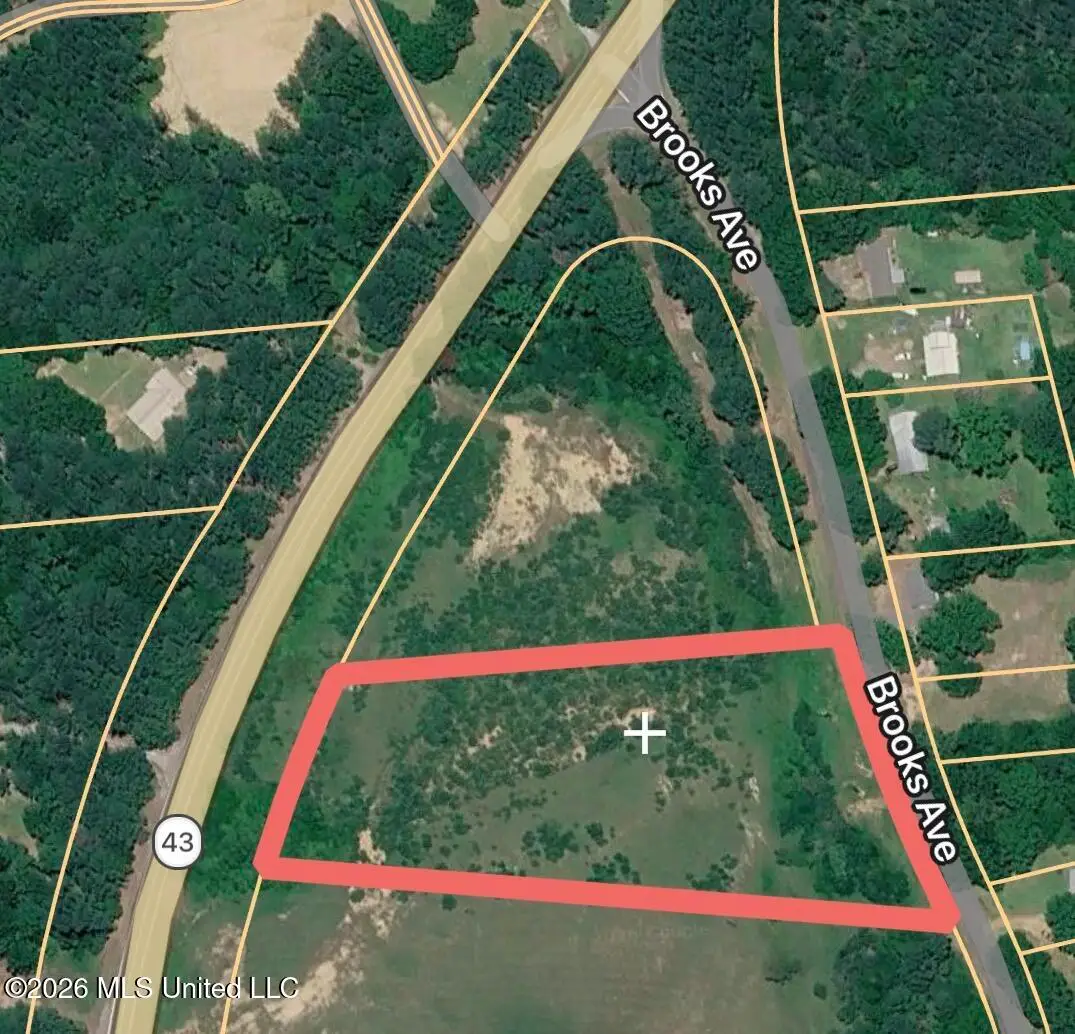 Hwy 43 N, Pelahatchie, MS 39145 - #1