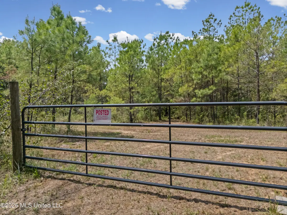 Brownlee Road, Sarah, MS 38665 - #1