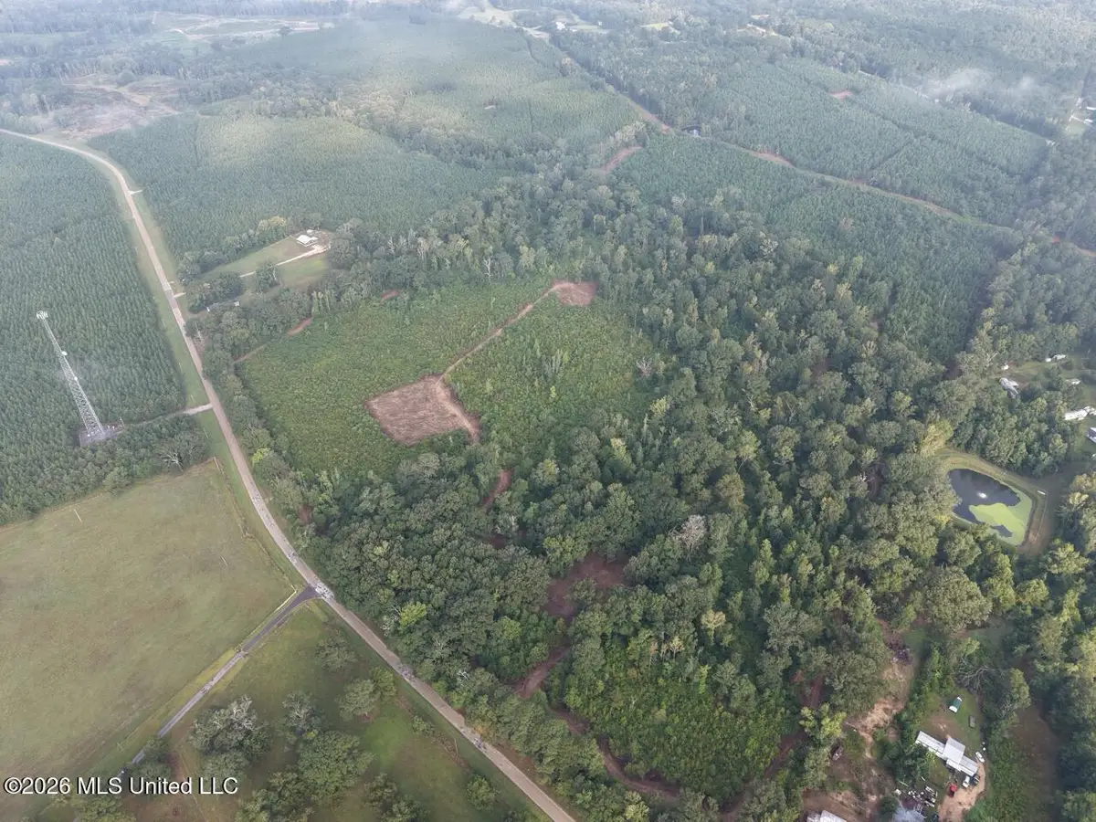 1154 Old Highway 33, Centreville, MS 39631 - #1