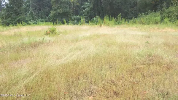 3442 Phelps Road, Courtland, MS 38620