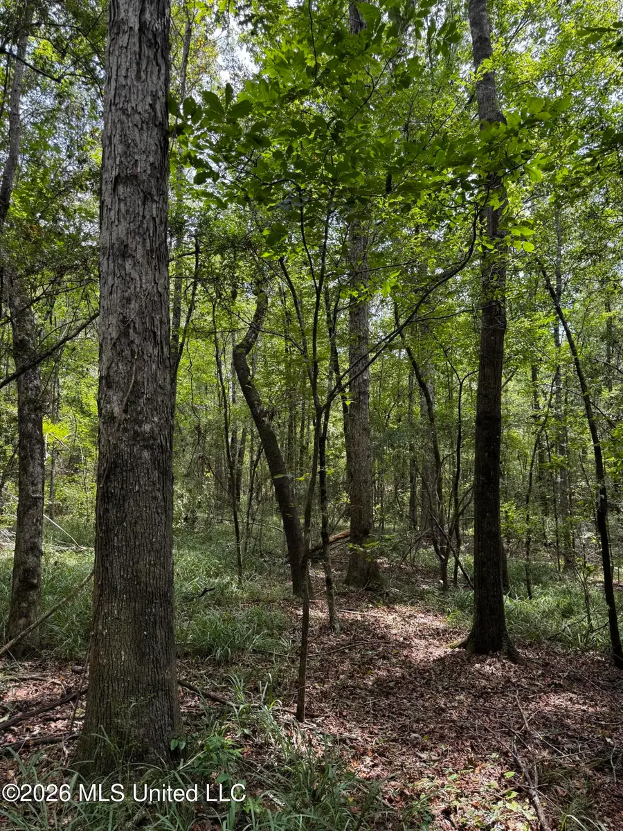 Earnest A Thompson, Ruth, MS 39662 - #3