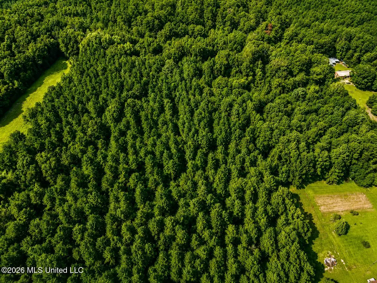Saint Paul Road, Sandy Hook, MS 39478 - #1