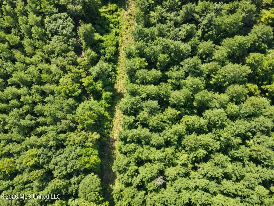 Saint Paul Road, Sandy Hook, MS 39478 - #2