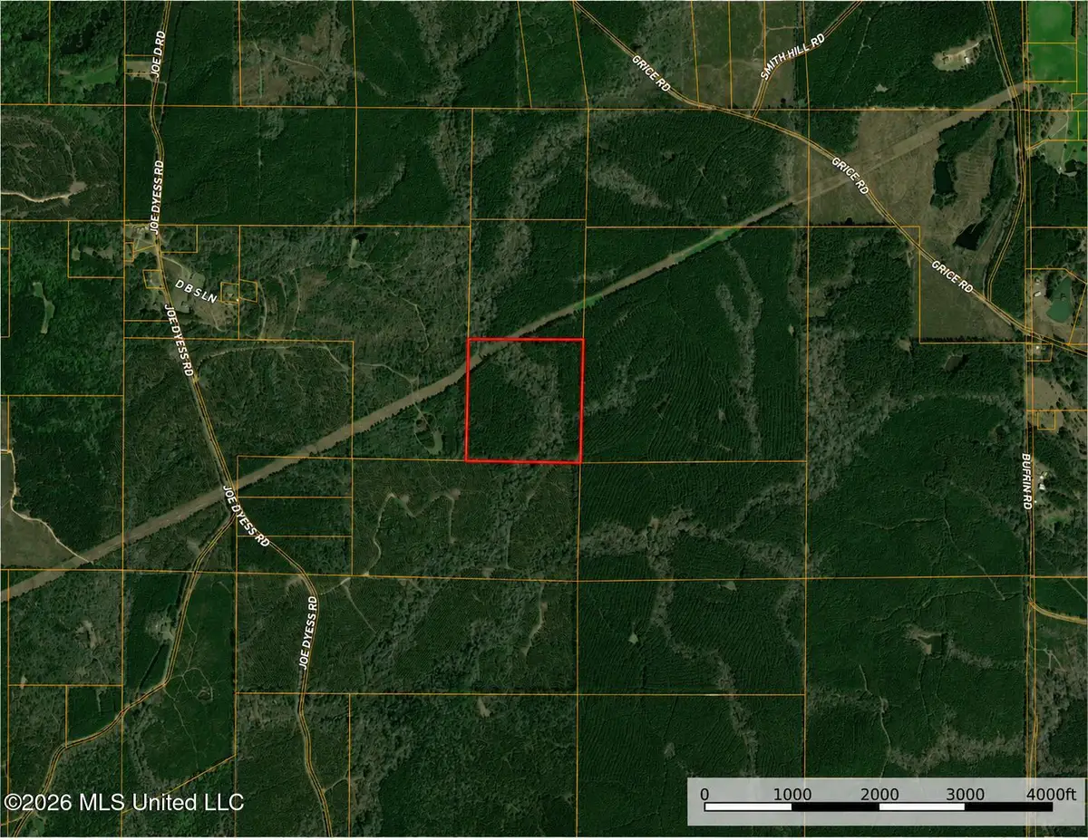 0000 N Joe Dyess Road, Carson, MS 39427 - #1