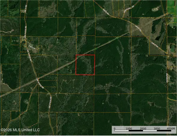 0000 N Joe Dyess Road, Carson, MS 39427