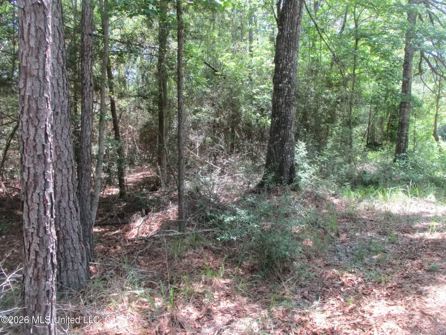 0000 N Joe Dyess Road, Carson, MS 39427 - #2