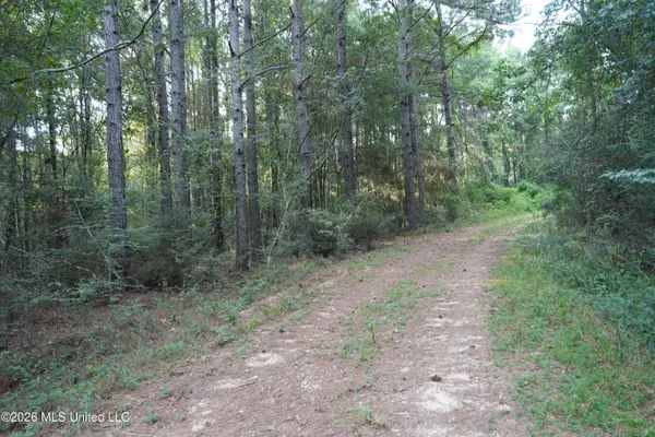 County Road 16, Louin, MS 39338