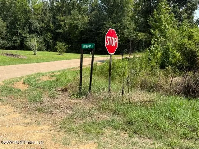 0 Tallabogue Road, Forest, MS 39074 - #2