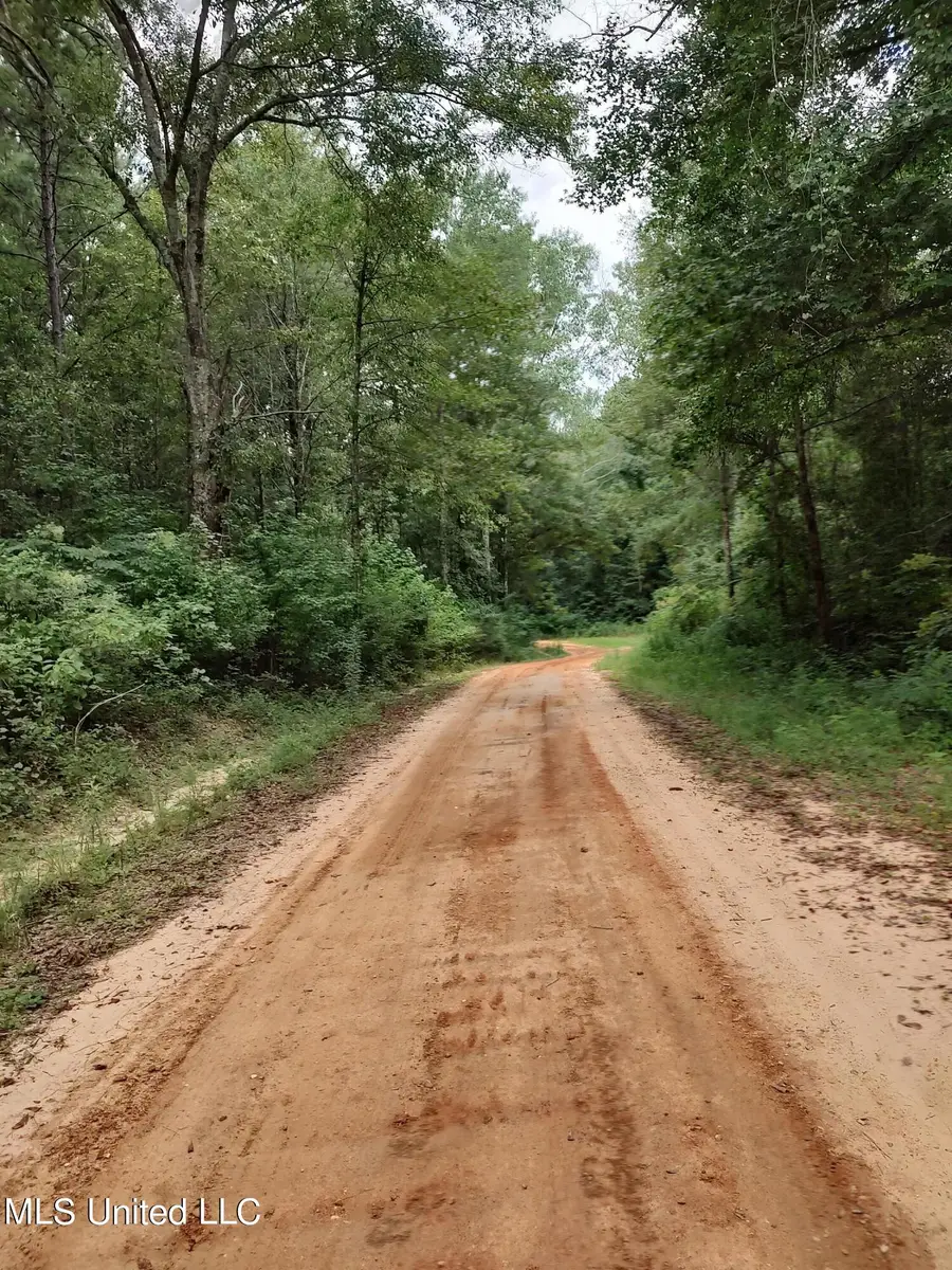 Lakeshore Drive, Lumberton, MS 39455 - #2