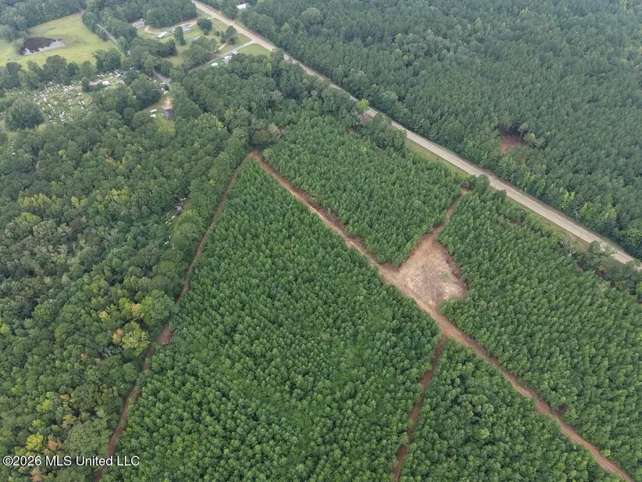 11852 Hwy 24, Centreville, MS 39631 - #3