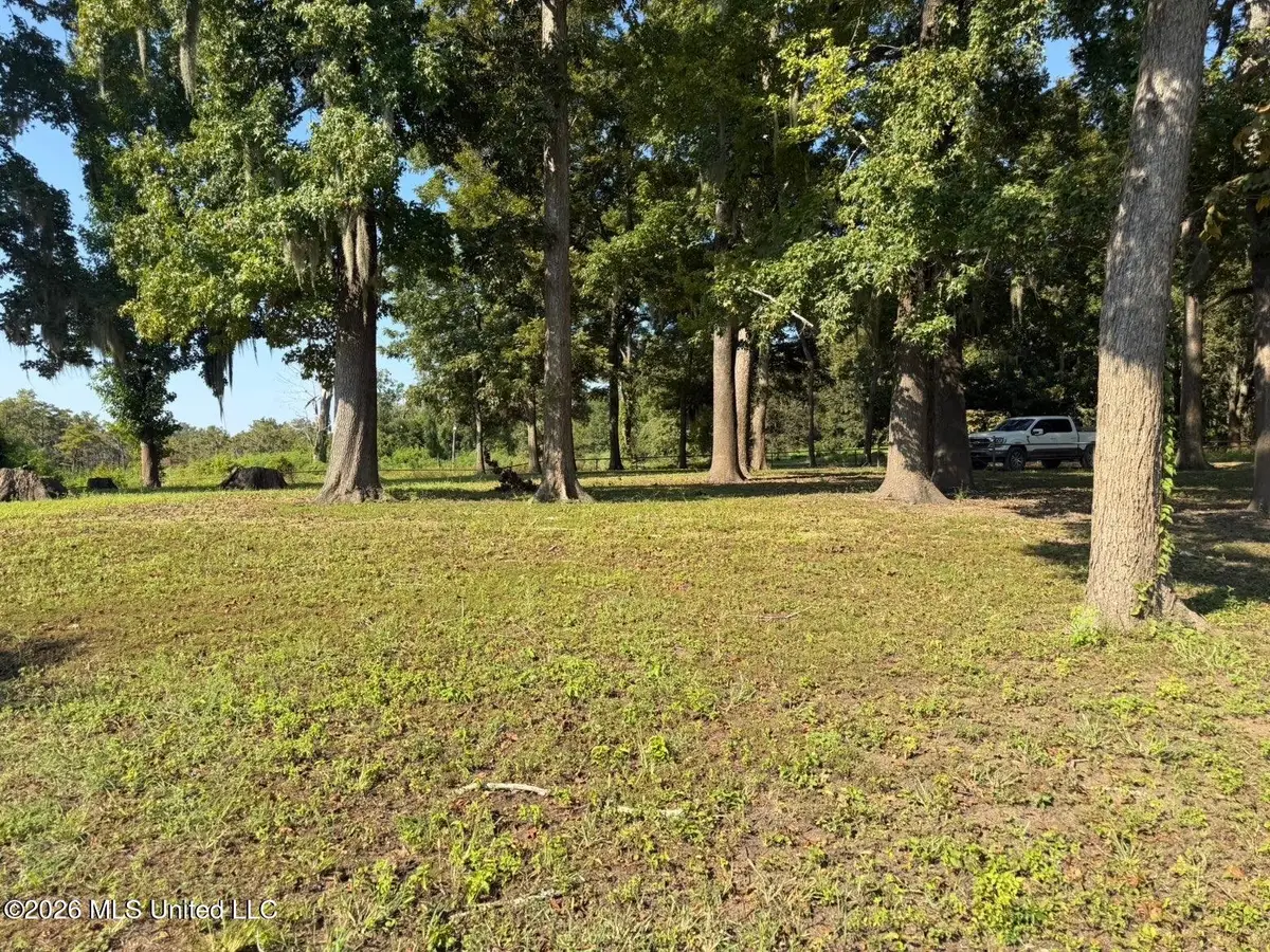 Lake Mary Road, Woodville, MS 39669 - #1