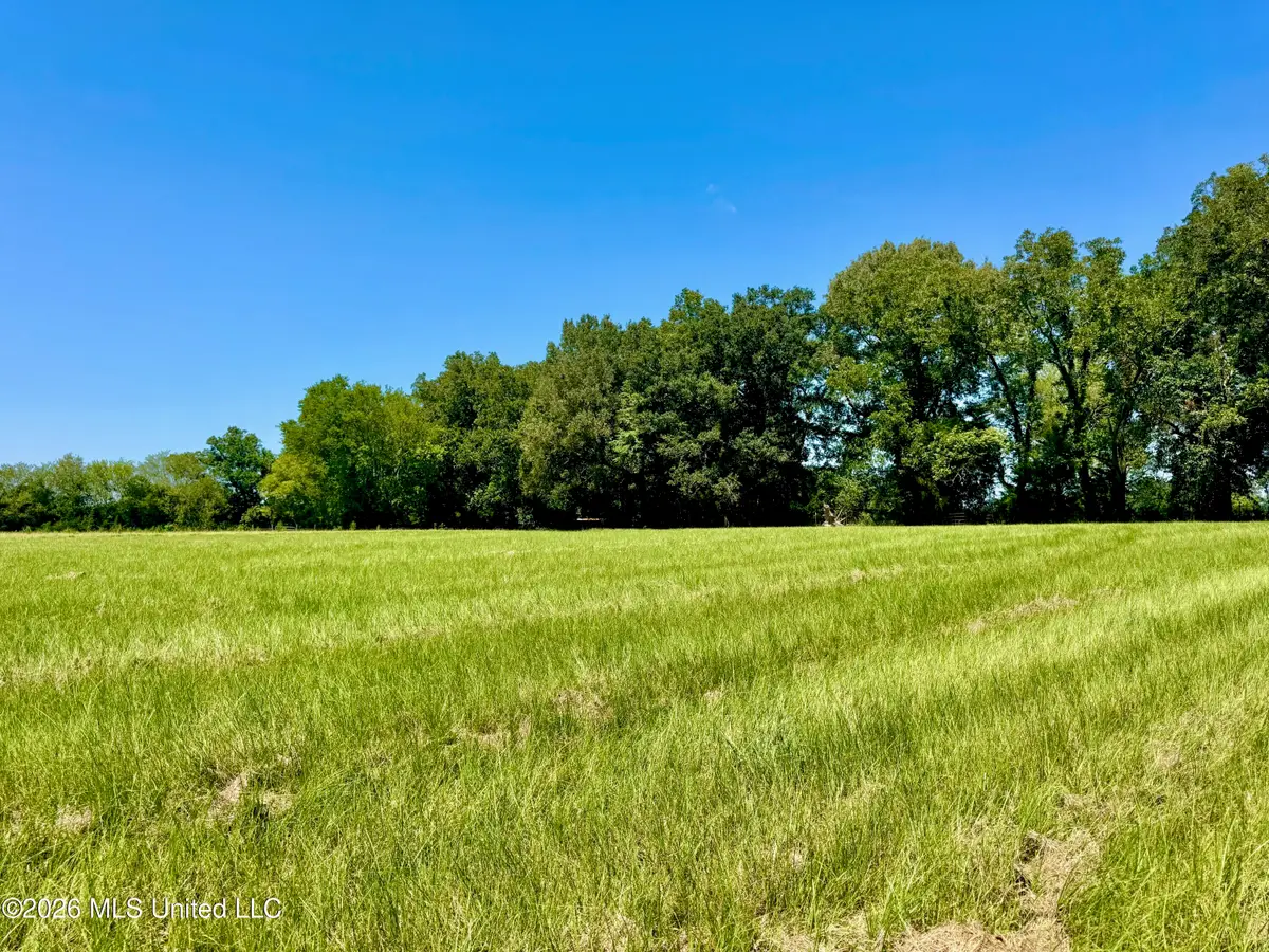 0006 Green Acres Drive, Canton, MS 39046 - #1